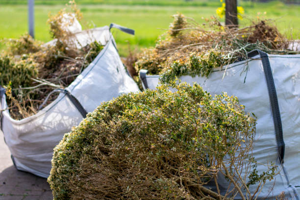 Best Basement Cleanout Services  in Hagerstown, MD